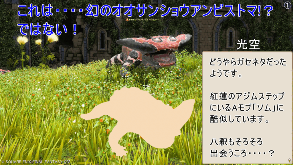 これは・・・・幻のオオサンショウアンビストマ!? ではない! 光空 どうやらガセネタだった ようです。 紅蓮のアジムステップ にいるAモブ「ソム」に 酷似しています。 八釈もそろそろ 出会うころ・・・・?