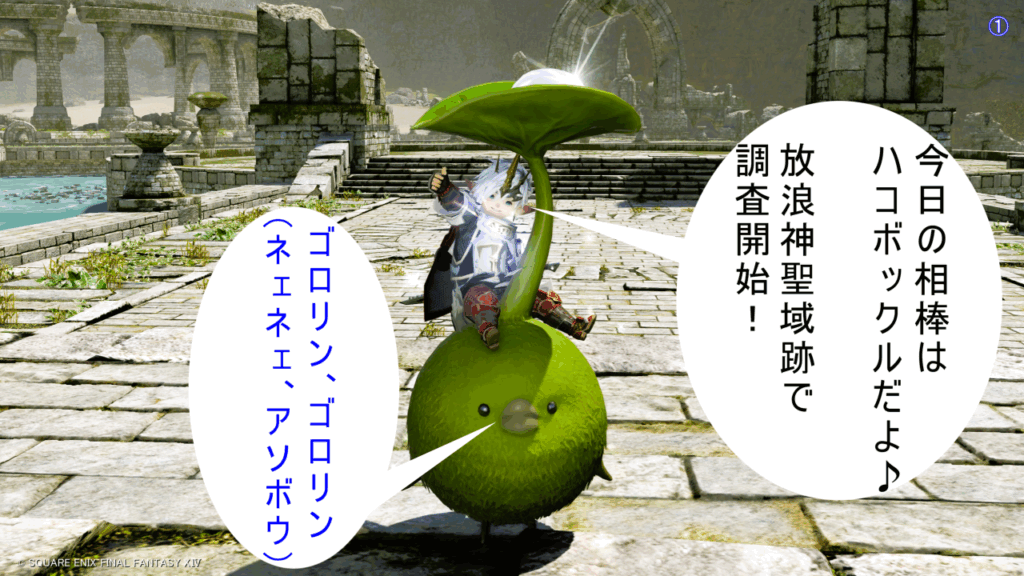 八釈 今日の相棒は ハコボックルだよ♪ 放浪神聖域跡で 調査開始! ハコボックル ゴロリン、ゴロリン (ネェネェ、アソボウ)
