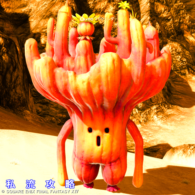 FF14 漆黒モブハントAモブ アム・アレーン マリクテンダー