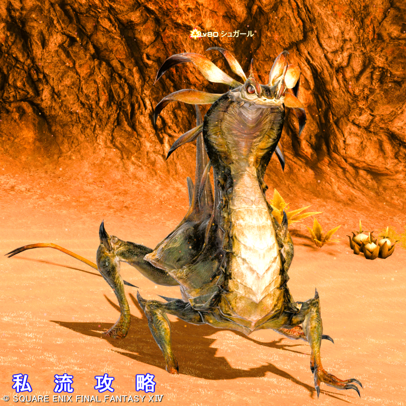 FF14 漆黒モブハントAモブ アム・アレーン シュガール