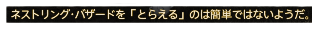 「とらえる」のは簡単ではない魔獣もいます！